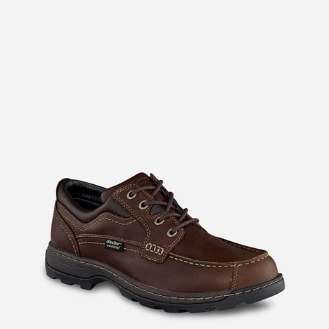 Irish Setter SOFT PAW Oxford WP - Brown